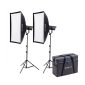 Kit 2 Focos FS-300B Bi-color led Spot Light