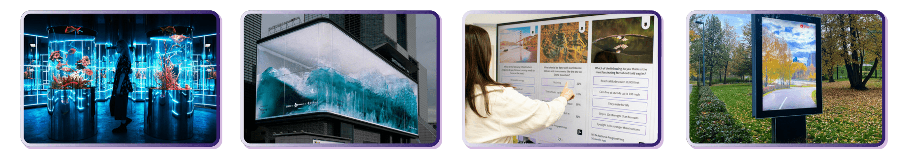 BrightSign XD236 17 BrightSign HD1026