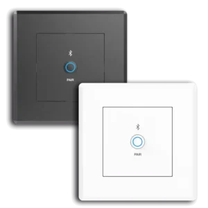 Dante Bluetooth Wallplate 17 Dante Bluetooth Wallplate - Imagen 3