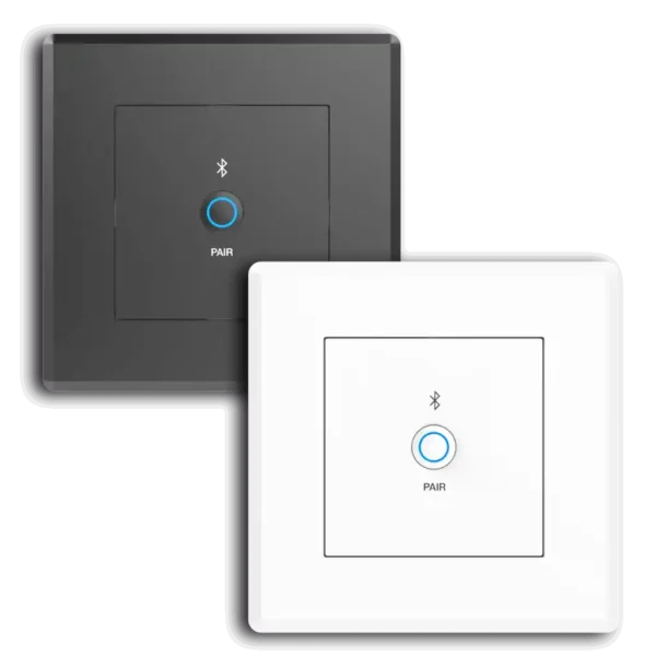 Dante Bluetooth Wallplate 2 EU