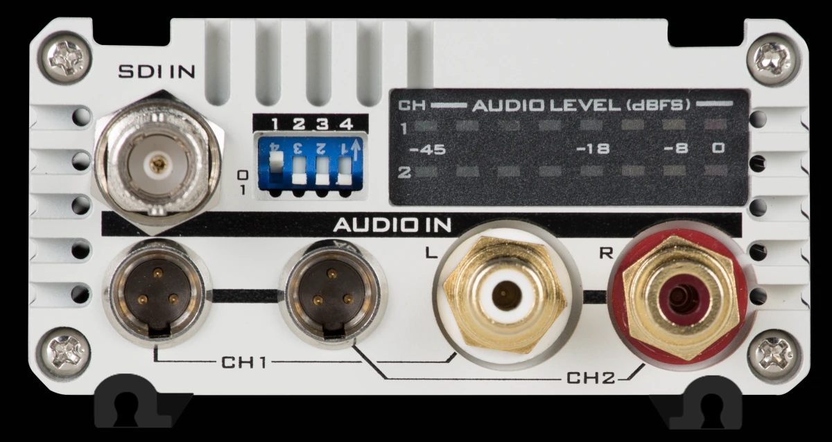 Conectores de Entrada Analógica Mini-XLR y RCA del Datavideo DAC-91